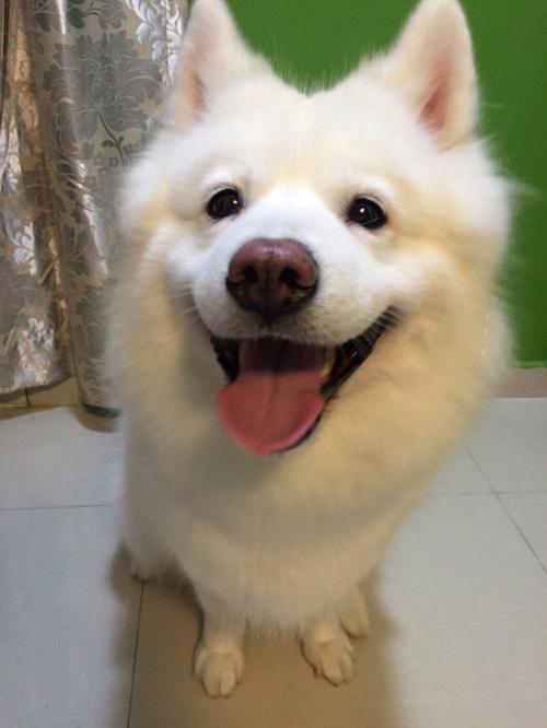 Сѧʱż ׶԰Ԫʱͣ԰