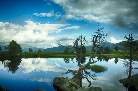 ͨ䲿Сͳ޾Ӫ߲泵ṩ